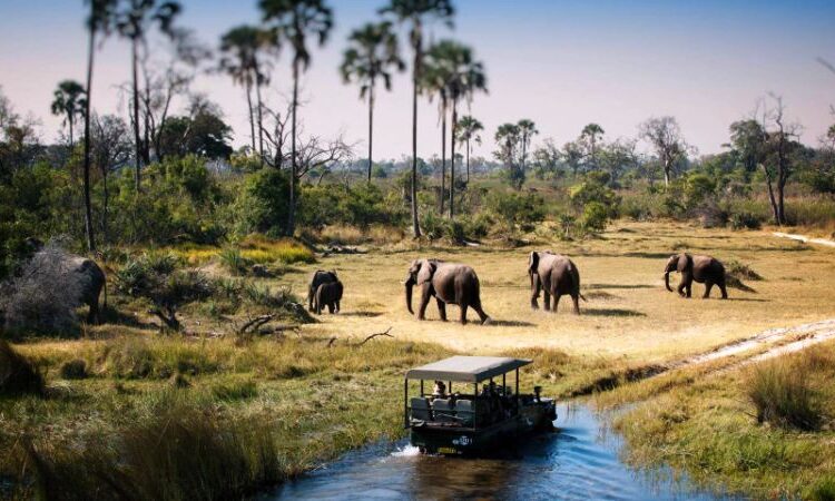 Game-Drives-in-Tarangire-National-Parkss-750x450-2